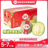 佳农山东网纹蜜瓜 2粒装 5-7斤 单果2.5斤起  源头 生鲜水果礼盒