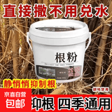 铁路专用控草抑制草强力粉控树粉甘草杂草大树抑制根粉园艺肥料 腐根剂【10斤】直接撒/可开票