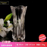 弗莱文茨简约透明玻璃花瓶水培富贵竹百合水养花器插花瓶家用客厅桌面摆件 百财花瓶30cm（透明）