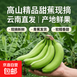 高山精品甜蕉现摘新鲜水果香蕉孕妇宝宝辅食搭配丫丫生鲜特产 云南香蕉净重4.5斤+【青蕉发货】