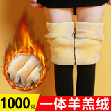 浪莎冬季棉裤女加绒加厚打底裤羊羔绒保暖裤东北特厚超厚七夕送老婆 黄金色羊羔绒1000克 1条 均码 （90-140斤）