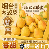 粤迎山东烟台太婆梨【JD顺丰送货上门】新鲜当季梨子软糯香甜大头蕉梨 3斤独享装【单人独享装-较较划算】净2.5斤 A+级精选果【单果100g+】甜