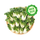 【高原夏菜】供港基地奶白菜300g(鹤斗白)