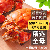 【活蟹】乾澄大闸蟹鲜活 全母蟹2.3-2.6两 8只 去绳足重螃蟹海鲜中秋礼盒源头直发