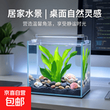 高清热弯玻璃鱼缸 透明家庭一体客厅桌面水草缸龟缸生态溪流 养鱼大礼包