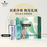 施华蔻（Schwarzkopf）去屑控油礼盒（净屑洗400ml+控油洗400ml）洗发水 团购节日福利