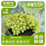 京鲜生 新疆无核白葡萄净重3.5斤 马奶无籽提子源头直发 易掉粒