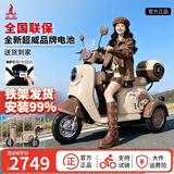 凤凰（Phoenix）甲壳虫电动车三轮车小型电动摩托车休闲家用小型女士新国标电三轮 【甲壳虫MAX标准版】续航约70里