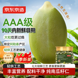 京东京造AAA原味南瓜子仁400g大颗粒轻烘焙0添加新疆阿勒泰当季新货含铁锌