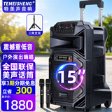 特美声（TEMEISHENG）12英寸广场舞音响户外舞台大功率移动便携式拉杆音箱无线蓝牙大音量K歌扩音配双话筒SL12-31 15寸标配+2支无线话筒+礼包+支架