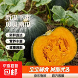 京喜加【新瓜下市】正宗贝贝南瓜宝宝辅食新鲜蔬菜生鲜减肥减脂 贝贝南瓜 10斤 带箱