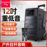 山水（SANSUI）TB12 广场舞音响便携式拉杆音响 家庭KTV音响套装户外K歌一体机家用移动蓝牙音箱双话筒套装