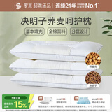 罗莱家纺 枕头颈椎枕 100%棉决明子荞麦花草枕头护颈椎助睡眠 46*72cm