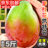 京地达攀枝花红头凯特芒果 净重5斤果王600g+肉厚无丝香甜新鲜水果包邮