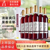 莫高（MOGAO）冰酒果酒 甜型葡萄酒 长相守冰红 甜酒微醺 500ml*6整箱装