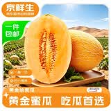 京鲜生 甘肃黄金哈密瓜 净重5-6斤 1-2粒 单果2斤+ 生鲜水果源头直发