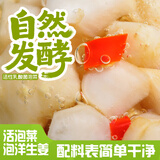 老坛子活泡菜袋装 什锦泡菜 四川眉山泡菜东坡活泡菜 方便菜即食下饭菜 活泡菜脆脆洋生姜500g*3袋