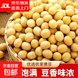 新货黄豆农家豆浆豆芽新鲜黄豆高蛋白黄豆非转基因大豆 优质精品黄豆100g