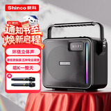 新科广场舞音响户外音箱k歌便携式 蓝牙收款大功率大音量重低音炮家用移动播放器 双话筒
