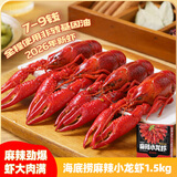 海底捞麻辣小龙虾3斤装 2026年新虾 7-9钱 净虾900g整虾加热即食