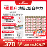 皇家猫粮 幼猫湿粮 幼猫奶糕 离乳期幼猫罐头1-4月通用粮88g*24