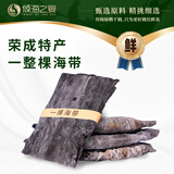 倾海之宴 一整颗海带200g 深海宽叶荣成干海带 火锅食材烫菜凉拌炖汤