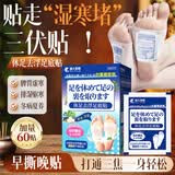 藤久制药三伏贴足贴祛湿排毒湿气排体内湿寒缓解疲劳日本休足去浮脚底贴