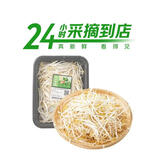 七鲜24小时富硒绿豆芽 200g