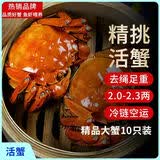 【活蟹】漁家师傅大闸蟹六月黄2-2.3两10只去绳足重鲜活现货螃蟹生鲜礼盒 源头直发