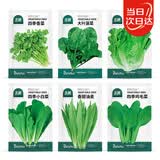 北蔬 蔬菜种子种苗大全生菜香菜菠菜夏秋阳台菜籽 6种叶菜类蔬菜种子