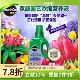 美乐棵植物营养液磷酸二氢钾花肥兰花月季水培花卉绿植发财树营养液肥料 种球型500ml
