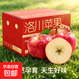 正宗红富士丑苹果脆爽多汁应季红富士苹果新鲜苹果多仓混发 陕西洛川带箱2斤净重1.6斤75mm+