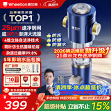 惠尔顿前置过滤器20T大通量过滤25微米反冲洗家用全屋净水器 实时自动清洗刮洗自来水防爆过滤器P0038pro 自行安装【20T-升级25微米精滤】