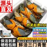 【活蟹】三门鲜活青蟹礼盒鲜活发货大红膏母红膏蟹大螃蟹端午送礼 保活公母搭配 3-5只2斤（净重）