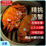 【活蟹】漁家师傅六月黄2.3-2.6两8只大闸蟹去绳足重鲜活螃蟹现货生鲜礼盒 源头直发
