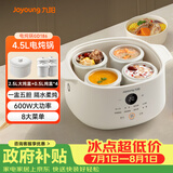 九阳（Joyoung）电炖锅电炖盅隔水炖锅煮粥煲汤锅家用多功能锅婴儿辅食锅4.5L白瓷内胆燕窝盅GD186