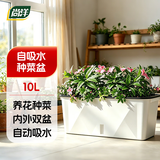 尚洋阳台种菜盆种菜箱草莓种植盆长条花盆塑料蔬菜种植箱专用盆小号