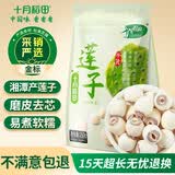十月稻田 莲子 250g 半斤 湘潭产去芯磨皮白莲子 桂圆百合银耳羹煲汤食材 