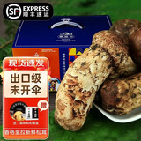 森吉尼达香格里拉新鲜松茸现采现发野出口级未开伞生云南松茸菌菇源头直发 松茸 5-5.8cm 净重501g 松茸尝鲜装
