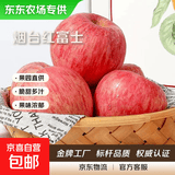 【东东农场专供】山东烟台红富士苹果脆甜多汁栖霞丑苹果 75mm+带箱2斤净重1.6斤