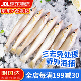 海万鲜三去沙丁鱼 鲜活冷冻沙尖沙钻鱼海捕鱼类生鲜 大号 12-16条400g