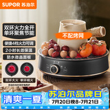 苏泊尔（SUPOR）迷你电陶炉 煮茶器煮茶炉煮茶壶 养生围炉煮茶泡茶办公家用不挑器具SW-DTL05