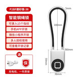 亿联智能亿联智能钢绳挂锁头盔锁钢丝指纹绳锁电动摩托车单车筐防盗电子锁 P2BF加长款【指纹+手机开锁】