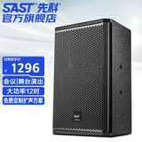 先科（SAST） KP12V专业舞台音响12英寸大型会议室ktv包房户外活动婚庆无源音箱单只