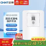 正泰（CHNT）固定式漏电保护开关 40A 230V~NEG3-62030