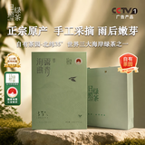 日照绿茶海曲露青T04/250g新茶茗茶口粮茶  送礼茶叶礼盒可冷泡日照特产茶