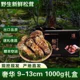 土地母亲计划 雅江松茸菌未开伞新鲜松茸鲜菌菇冷链空运快至24H达团购礼盒 奢华【高品质礼盒】9-13cm 1000g