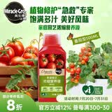 美乐棵植物营养液磷酸二氢钾花肥兰花月季水培花卉绿植发财树营养液肥料 有机番茄型500ml