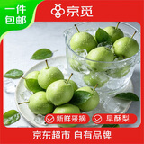 京觅陕西蒲城冰糖早酥梨子新鲜水果净重8斤单果150g+源头直发包邮