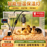 宜品达芦丁鸡保温灯自动控温小鸡鹦鹉育雏保温灯箱保暖灯温控器饲养箱 单全陶灯座1个50W灯+九孔温控